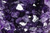 Free-Standing Amethyst Crystal Cluster - Uruguay #368290-1